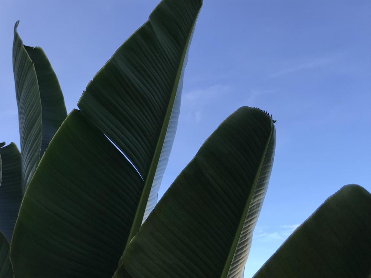 Encanto Das Flores Praia de Pipa Bagian luar foto